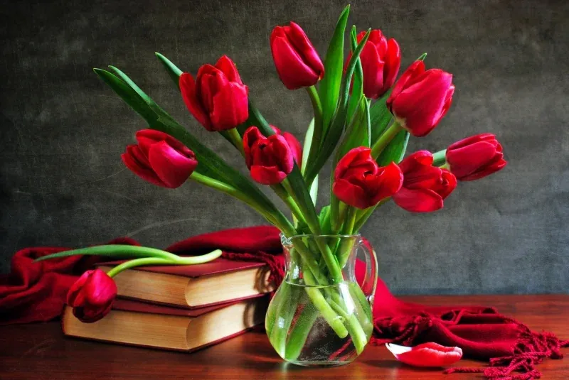 100+ ảnh hoa tulip đẹp mê ly