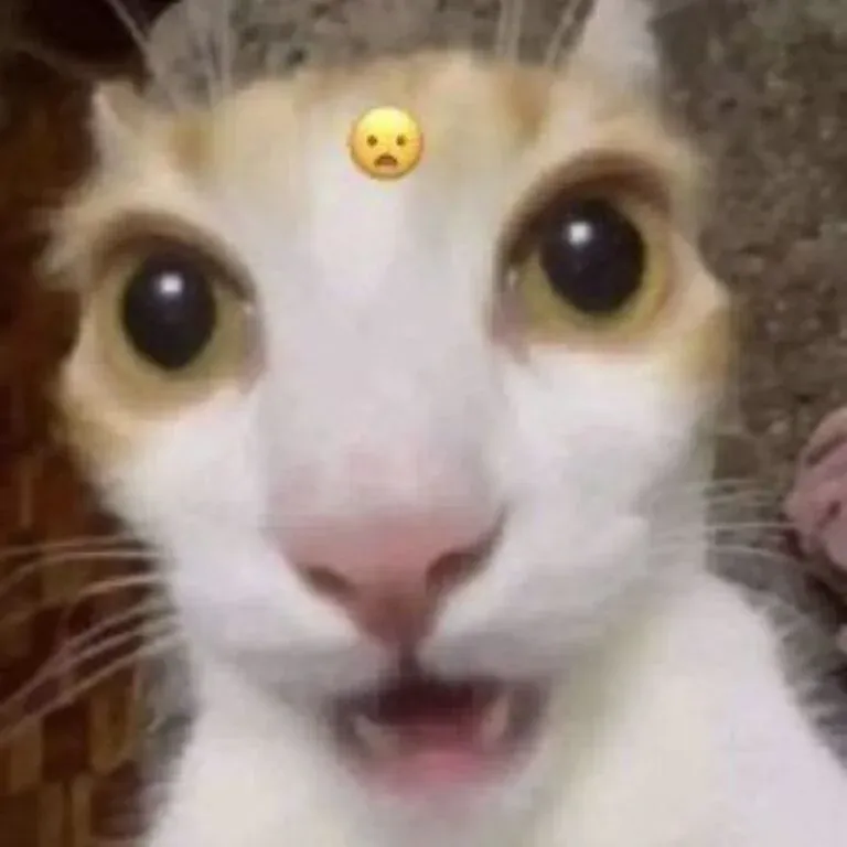 100+ ảnh meme bất ngờ cười thả ga, độc đáo · ảnh 3