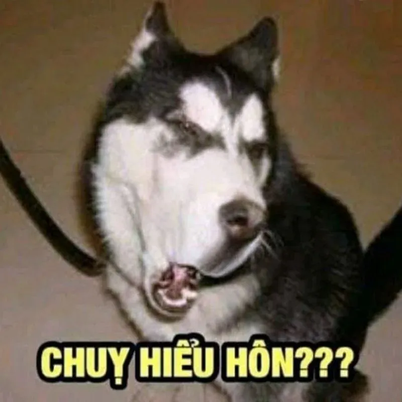 100+ ảnh meme bựa hài hước, độc đáo · ảnh 2