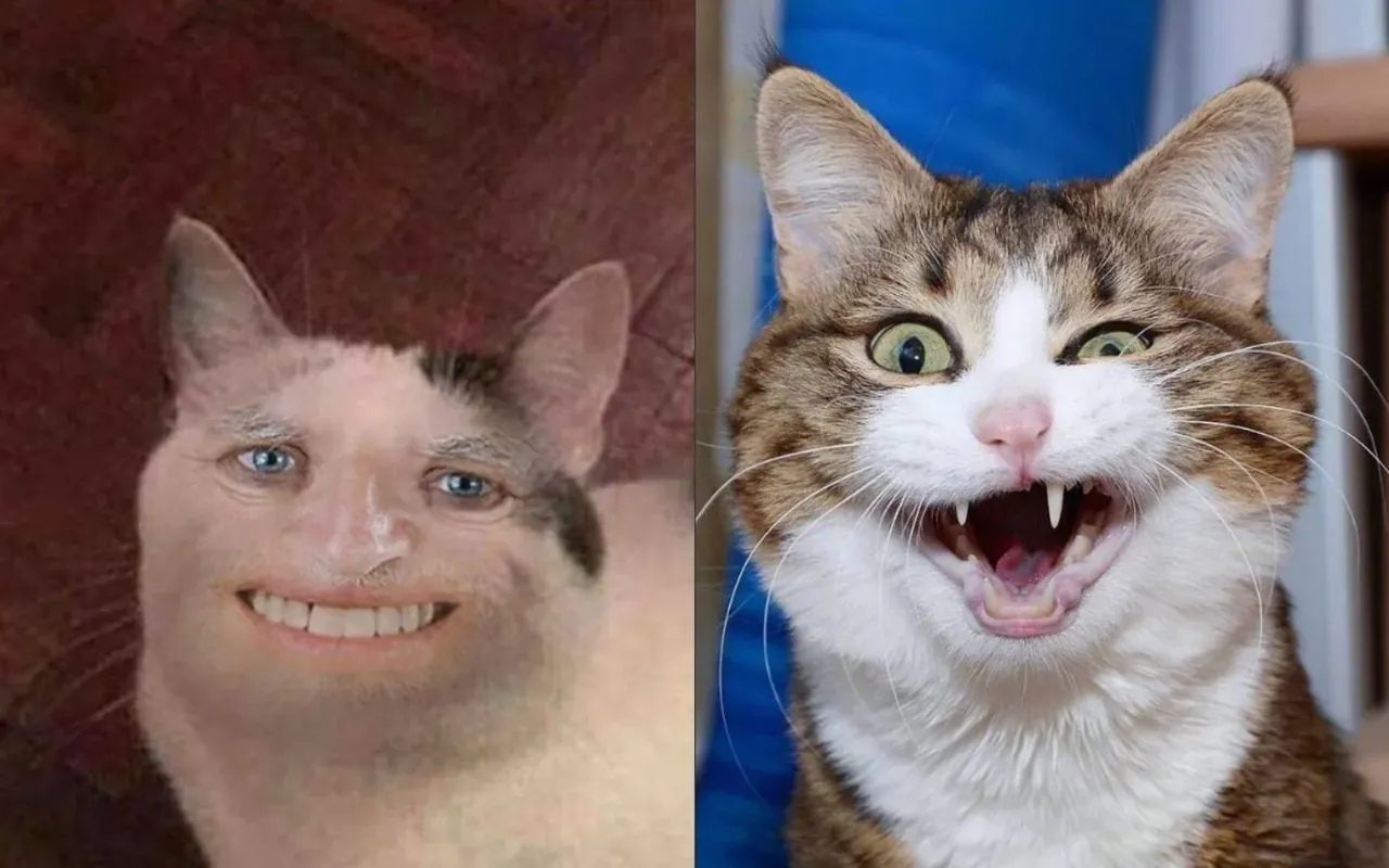100+ ảnh meme bựa hài hước, độc đáo · ảnh 3