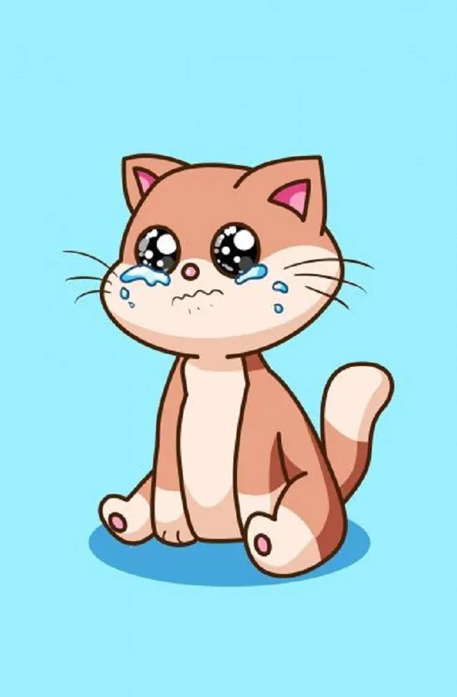 100+ ảnh mèo meme hài hước, bá đạo