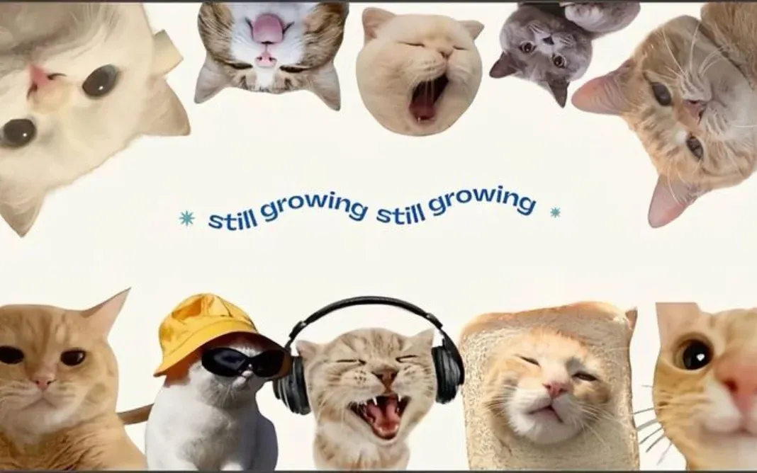 100+ hình nền máy tính cute dễ thương nhất · ảnh 3